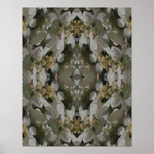Affiche Hydrangea à capuchon de dentelle blanche Miroir Fl