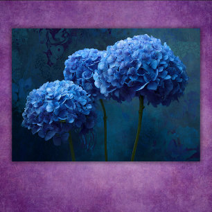 Affiche Hydrangea Floral Botanique Bleu Gras Dramatique