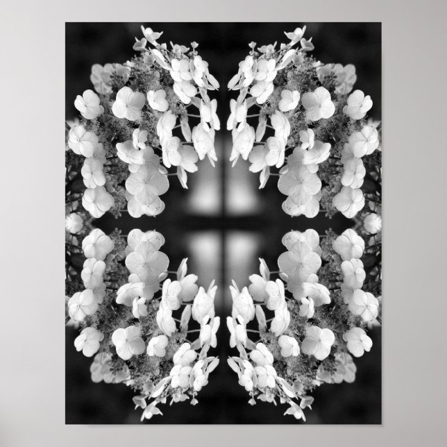 Affiche Hydrangea Noir Et Blanc Miroir Abstrait    (Devant)