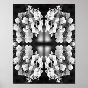 Affiche Hydrangea Noir Et Blanc Miroir Art Floral