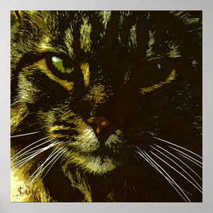 Affiche Hypnotiser l'hypnose d'art numérique de chat