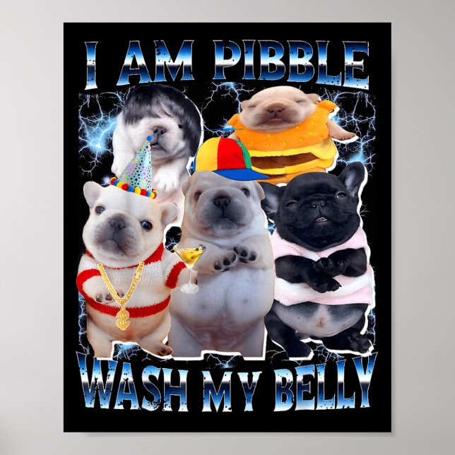 Affiche I Am Bble Wash My Belly Bble Meme Funny Dog Brainr (Devant)