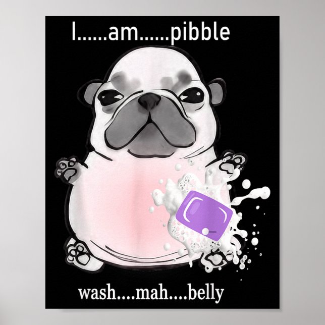 Affiche I Am Bble Wash My Belly Bble Meme Funny Dog Brainr (Devant)