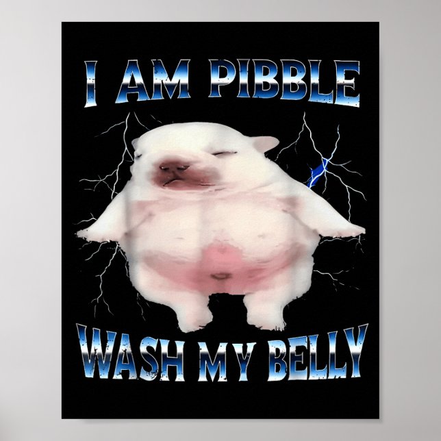 Affiche I Am Bble Wash My Belly Bble Meme Funny Dog Brainr (Devant)