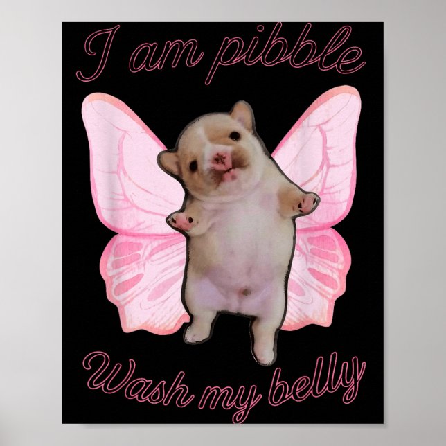 Affiche I Am Bble Wash My Belly Bble Meme Funny Dog Brainr (Devant)