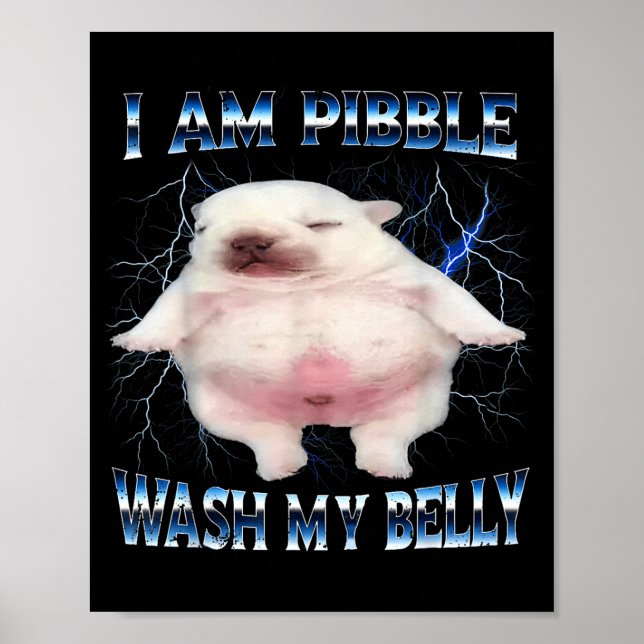 Affiche I Am Bble Wash My Belly Funny Dog Clean My Belly M (Devant)