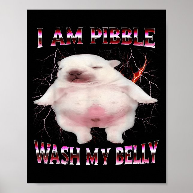 Affiche I Am Bble Wash My Belly Funny Dog Meme  (Devant)