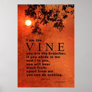 Affiche I am the Vine ... (Scripture: John 15:5)