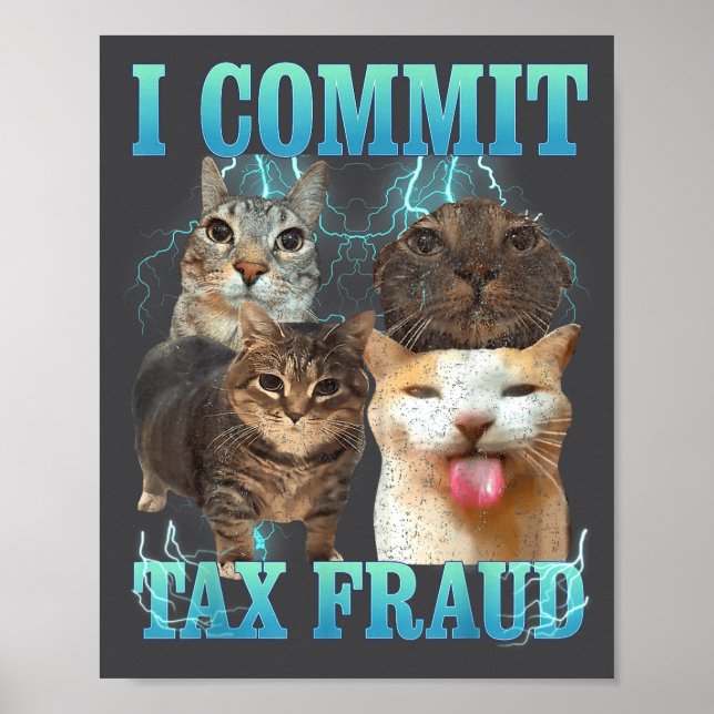 Affiche I Commit Tax Fraud Funny Cat Meme Bootleg Graphic  (Devant)