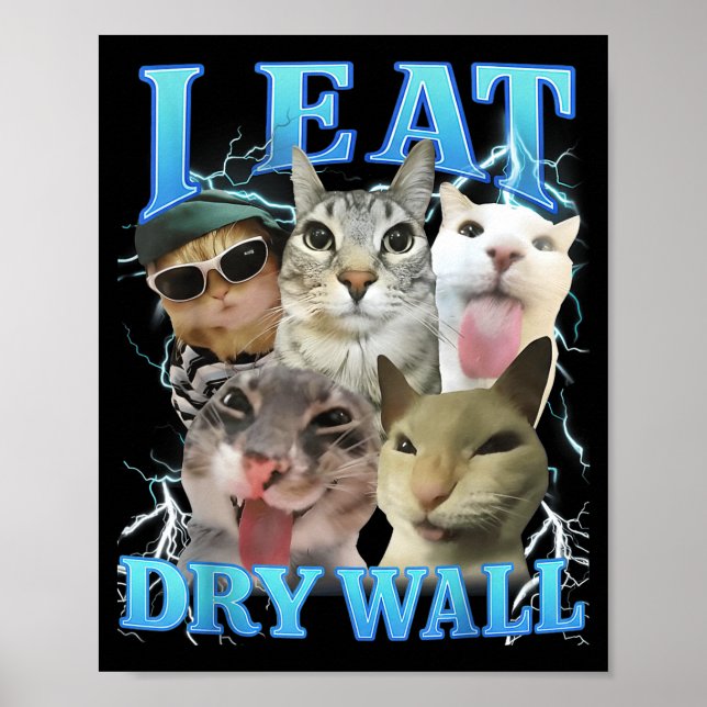 Affiche I Eat Dry Wall Funny Cat Meme  (Devant)