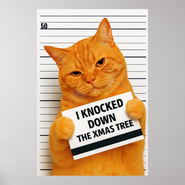 Affiche I Knocked Down the Xmas Tree 😼🎄 (Devant)