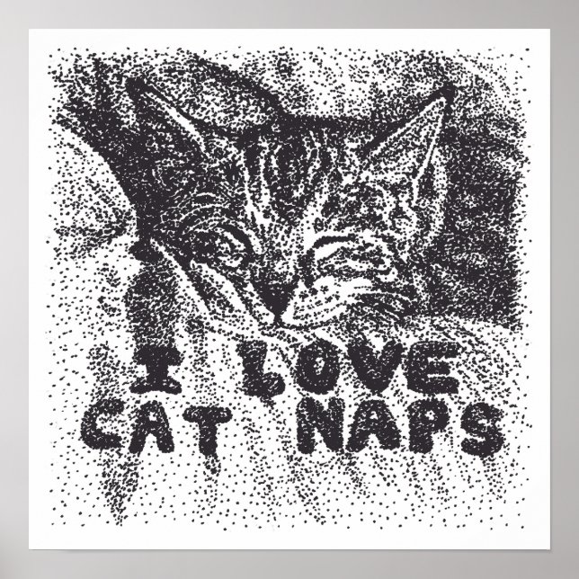 Affiche I Love Cat Naps, chat dort (Devant)
