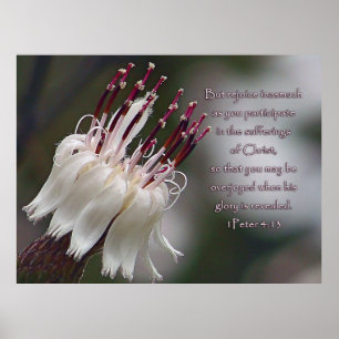 Affiche I Pierre 4:13 Inspirationnel Floral