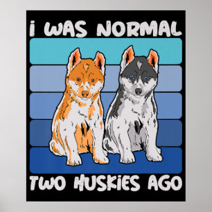 Affiche I Quoi Normal Deux Huskies Shiba Dog