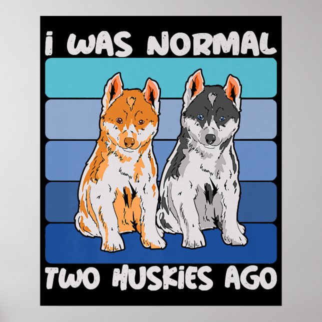 Affiche I Quoi Normal Deux Huskies Shiba Dog (Devant)