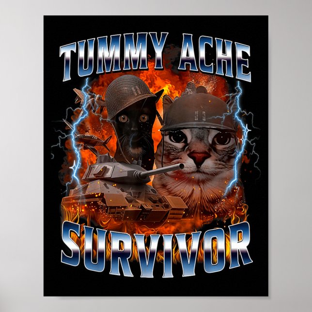 Affiche I Survived Today's Tummy Ache Funny Silly Cat Meme (Devant)