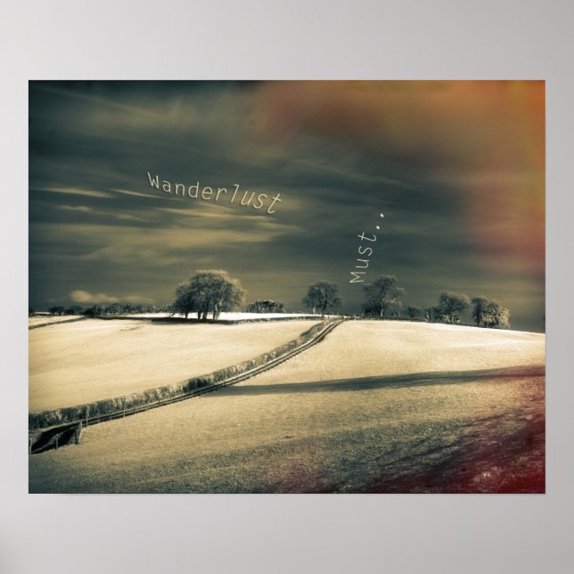 Affiche I Wander Because... (Devant)