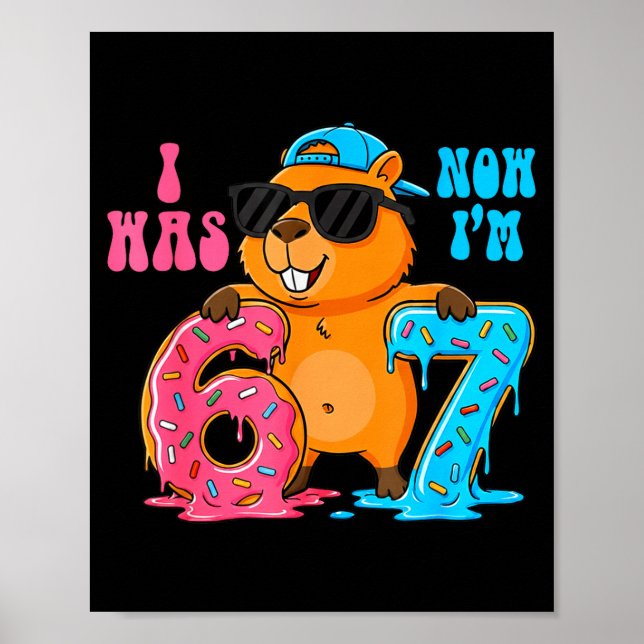 Affiche I Was Six Now I'm Seven 6 7 Capybara 67 Meme 7th B (Devant)