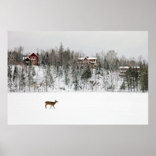 Affiche Ice & Snow   Deer in Snow Quebec, Canada