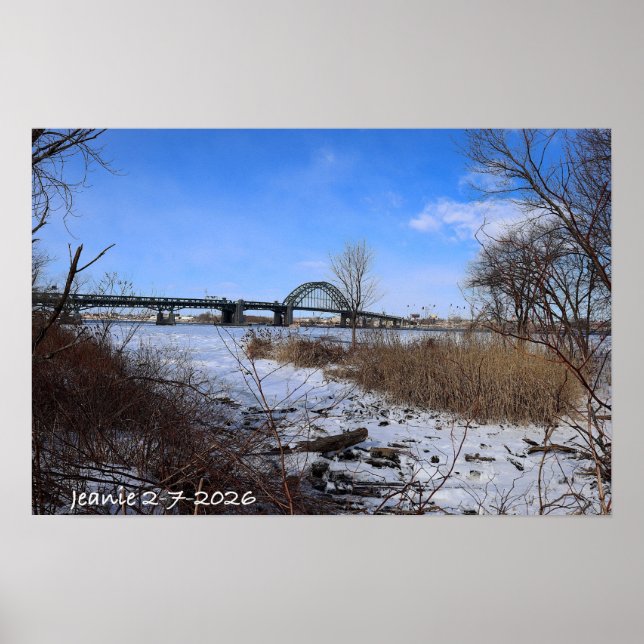 Affiche Icey Delaware (Devant)