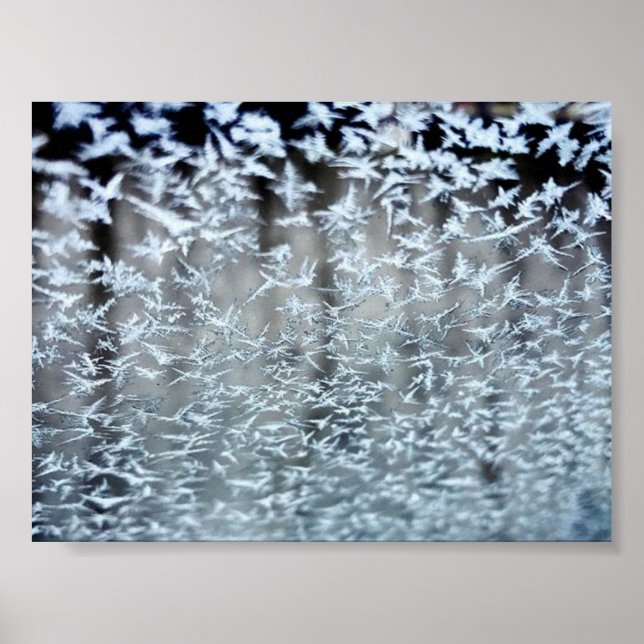 Affiche Icicules d'hiver (Devant)