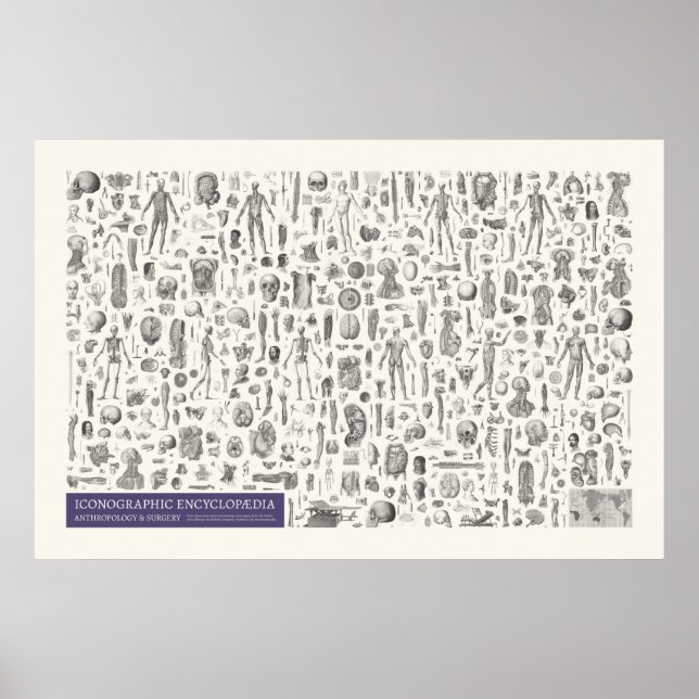 Affiche Iconographie - Anthropologie & Chirurgie (Devant)