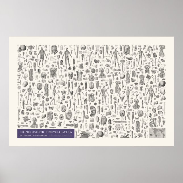 Affiche Iconographie - Anthropologie & Chirurgie (Devant)
