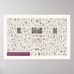 Affiche Iconographie - Botanique