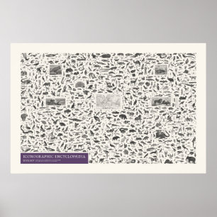 Affiche Iconographie - Figures de zoologie