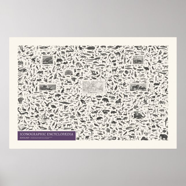Affiche Iconographie - Figures de zoologie (Devant)