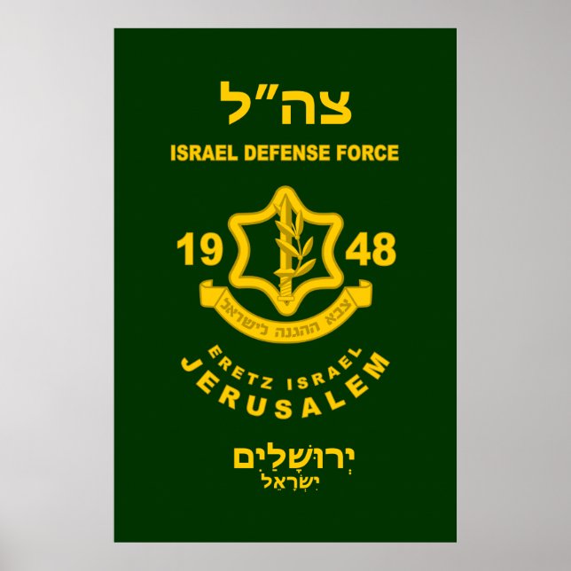 Affiche IDF - Sar El Volunteer Program (Devant)