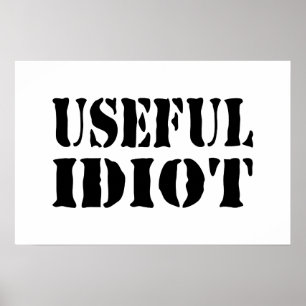 AFFICHE IDIOT UTILE