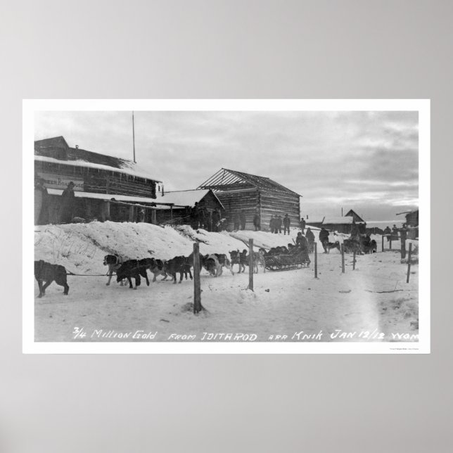 Affiche Iditarod Alaska Birdseye 1914 (Devant)