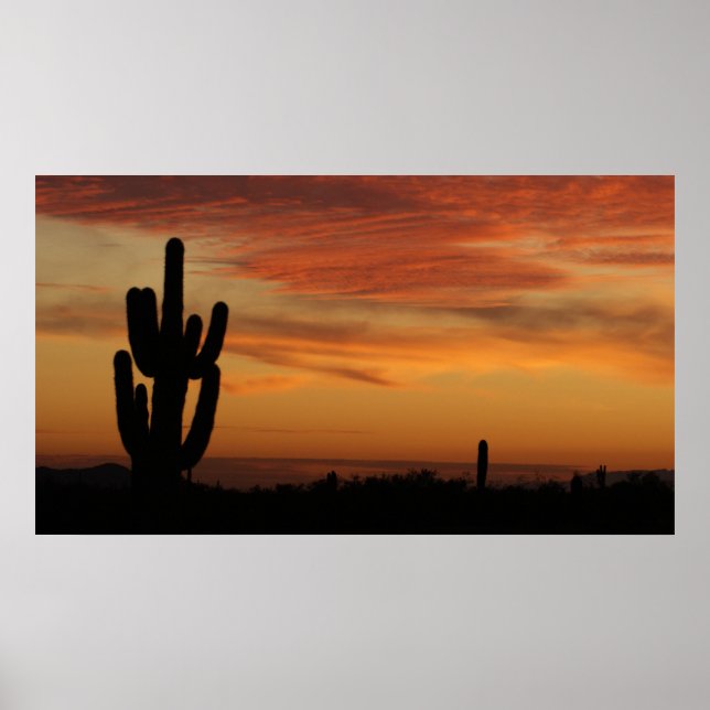 Affiche IDKP Arizona cactus au coucher du soleil (Devant)