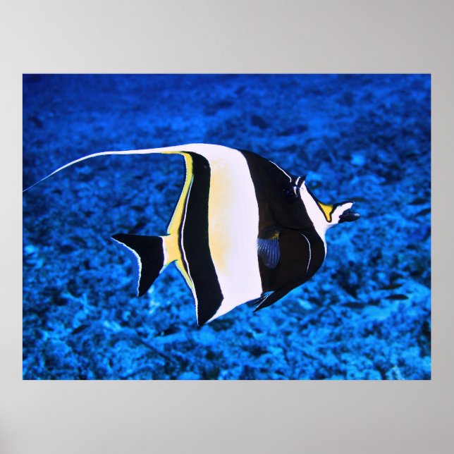 Affiche Idole mauresque des îles Gili (Devant)