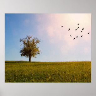 Affiche Idylle champêtre avec oiseaux