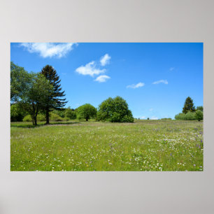 Affiche Idylle des prairies