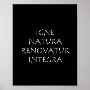 Affiche Igne natura rénovation integra