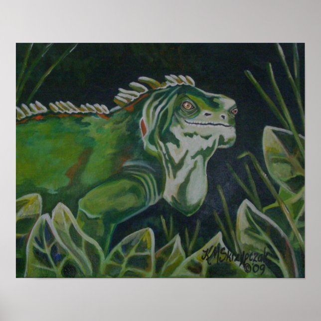 Affiche Iguana verte (Devant)
