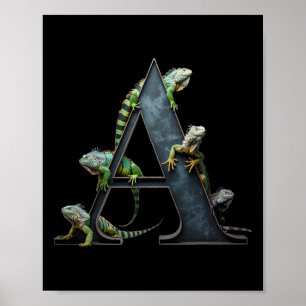 Affiche Iguanes Animaux Vintage Rap Hip-hop