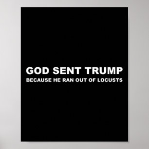 Affiche Il A Envoyé Trump Parce Qu'Il Était Sorti Des Criq