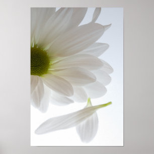 Affiche Il M'Aime... Il Ne M'Aime Pas