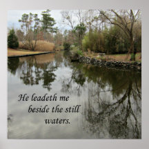Il me conduit à côté des eaux calmes