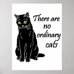 Affiche Il N'Y A Pas De Chats Ordinaires