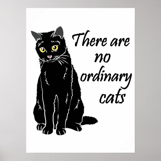 Affiche Il N'Y A Pas De Chats Ordinaires (Devant)