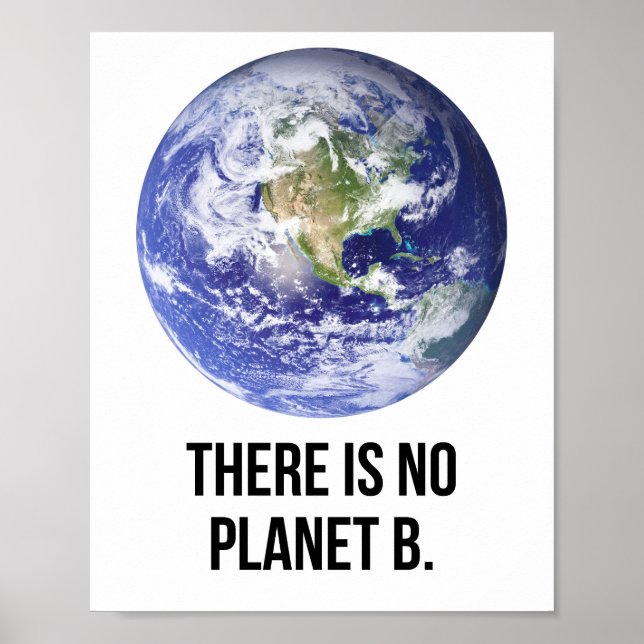 Affiche Il n'y a pas de planète B (Devant)