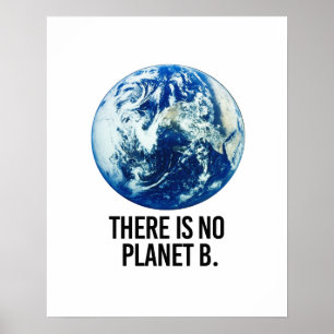 Affiche Il n'y a pas de planète B