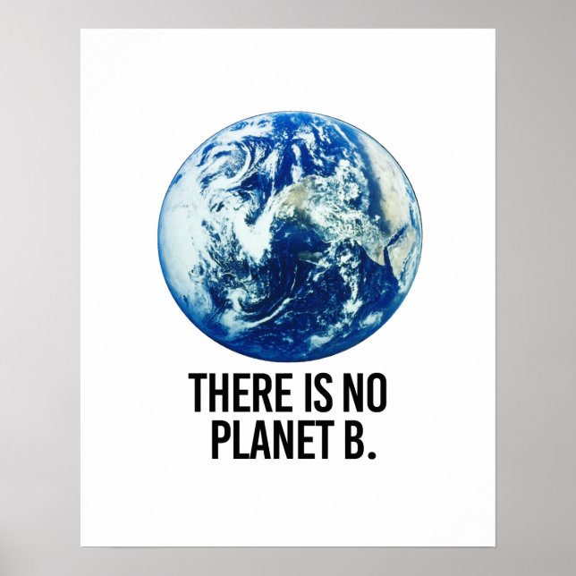 Affiche Il n'y a pas de planète B (Devant)