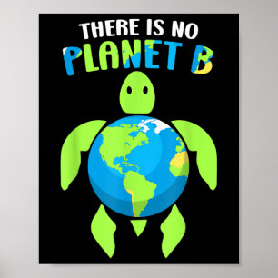 Affiche Il N'Y A Pas De Planète B Climat De l'environnemen