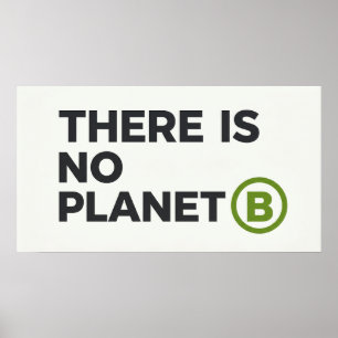 Affiche Il n'y a pas de planète B environnementaliste